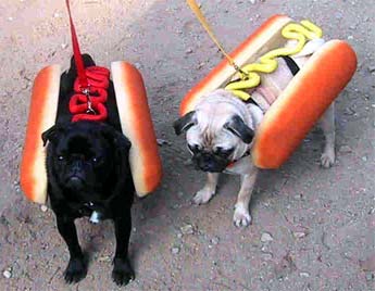 hotdog-lms.jpg