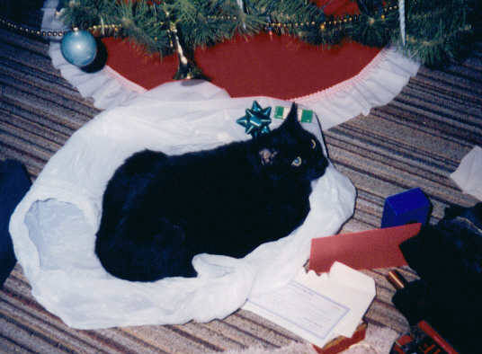 kittylayingonbagxmas94.jpg